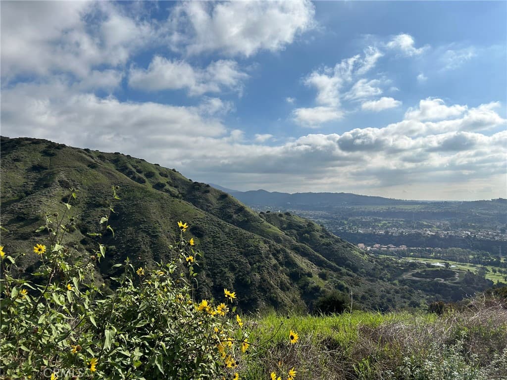 Home at 0 8678-030-029, San Dimas — photo 3 of 12