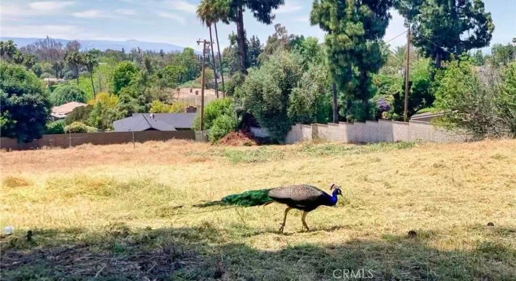 Home at 20528 E Rancho Los Cerritos, Covina — photo 3 of 6