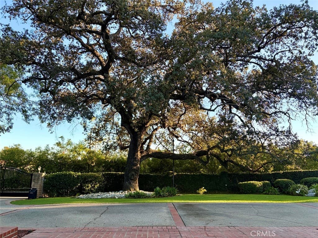 Home at 645 W Foothill Blvd, Arcadia — photo 6 of 12