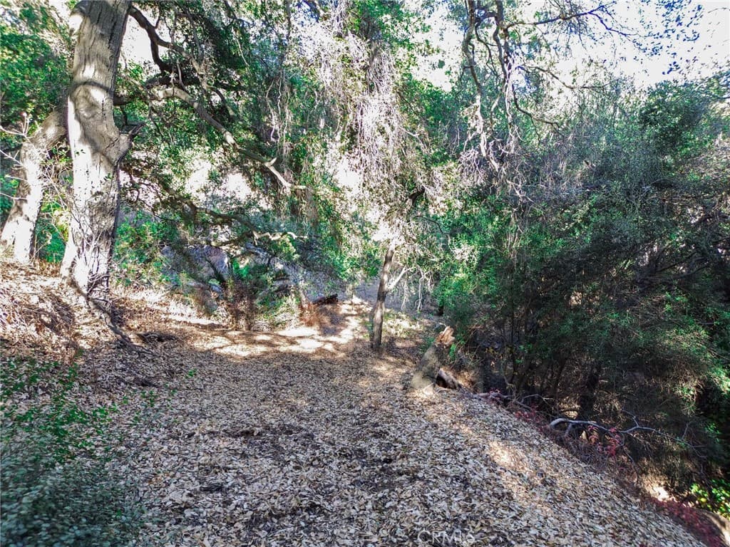 Home at 0 Live Oak Canyon Road, La Verne — photo 8 of 12
