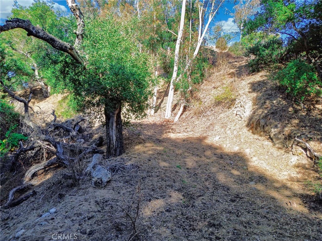Home at 0 Live Oak Canyon Road, La Verne — photo 9 of 12