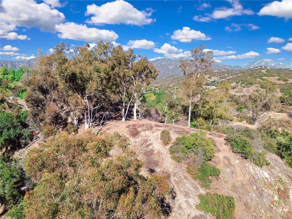 Home at 0 Live Oak Canyon Road, La Verne — photo 10 of 12