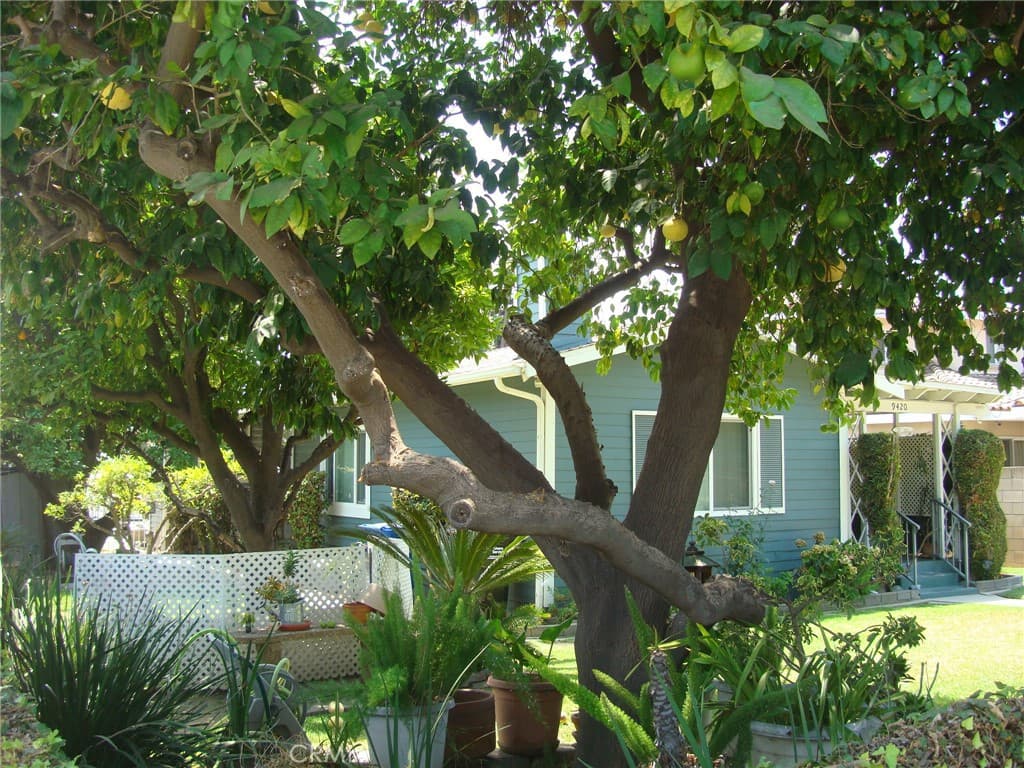 Home at 9420 OLIVE Street, Temple City — photo 2 of 12