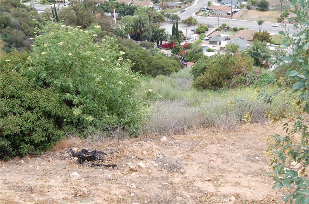 Home at 0 Broken Spur Road, La Verne — photo 9 of 12