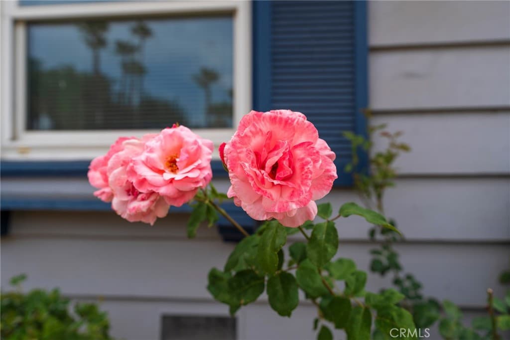 Home at 1324 E Maplegrove, West Covina — photo 6 of 12