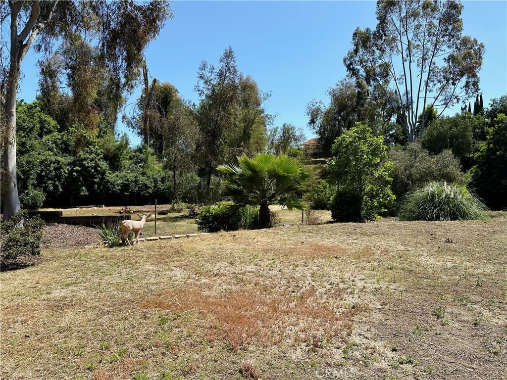 Home at 792 El Vallencito Drive, Walnut — photo 3 of 7